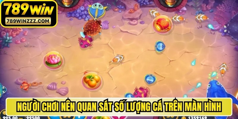  Người chơi nên quan sát số lượng cá trên màn hình và lựa chọn các mục tiêu 